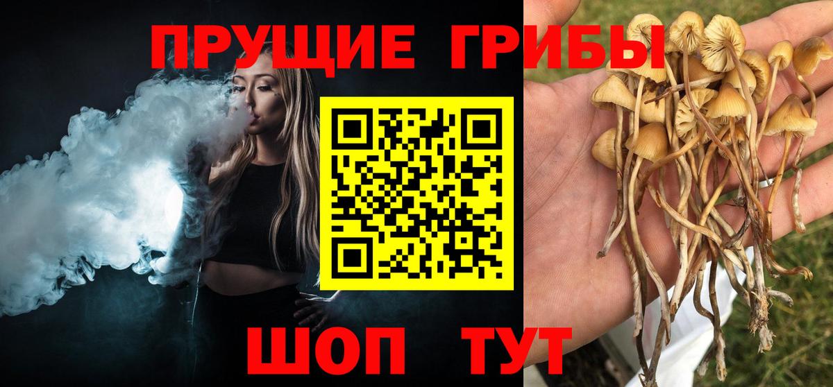 Галлюциногенные грибы MAGIC MUSHROOMS Пыть-Ях